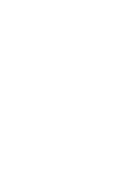 Datei:GlyphTotemFalcon.png