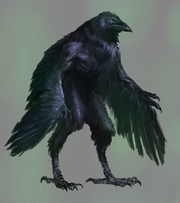 Corax.png